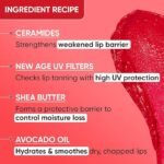 Dot & Key Barrier Repair Hydrating Lip Balm SPF 50 | Strawberry Red | Repairs Damaged Lip Barrier | High Tinted | 4.5 gm - Image 2