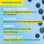 DOT & KEY Dot & Key Blueberry Hydrate Barrier Repair Sunscreen Spf 50+,Pa++++|For Dry&Sensitive Skin|Non - Greasy Finish|No White Cast|Uv&Blue Light Protection|Broad Spectrum|For Women&Men - Image 8