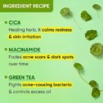 Dot & Key Cica Calming Skin Clarifying Toner with Green Tea & Niacinamide | Toner for Acne Prone Skin | Niacinamide Toner For Acne, Oily & Sensitive Skin | Fades Acne Scars & Dark Spots | 150ml - Image 4