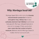 Dot & Key Moringa & Argan Hair Fall Control Shampoo With Pea Peptide & Cysteine | Sulphate Free, Paraben Free | For Dull & Thinning Hair | 200ml - Image 3