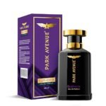 Park Avenue Euphoria, Eau De Parfum Men, 100ml | Long Lasting Perfume for Men | Diwali Gift | Premium Luxury Fragrance Scent | Aromatic Blend of Amber & Musk | Suitable for Every Occasion