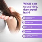 Sebamed Hair Repair Shampoo | pH5.5 I 47% less hair-dryness confirmed | Plant protein moisturises dry, damaged hair & scalp | Dermatologically & clinically tested | SLS & parabens free | 200 ml - Image 6