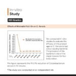 Minimalist Underarm Roll On Deodorant with Nonapeptide + AHA BHA 06% | Controls Odour & Fades Darkness | Fragrance & Aluminium Free | Exfoliating Deo For Women & Men | 40ml - Image 6