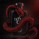 Ustraa Tattoo Cologne - 100ml - Perfume for Men | with a mix of spicy, woody and citrusy notes | Ideal for night occasions | Long-lasting fragrance with no gas - Image 5