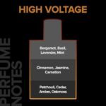 VILLAIN High Voltage Luxury Eau De Parfum for Men, Spicy Fougere Fragrance, Long Lasting, Premium Liquid Scent with Patchouli, Mint & Cinnamon, 100ml - Image 6