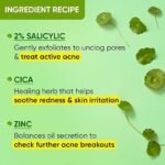 Dot & Key 2% Salicylic Acid + Cica Anti Acne Serum with Zinc | Salicylic Acid Serum for Acne and Dark Spots | Serum for Oily Acne Prone Skin & Sensitive Skin | Oil-Free & Non Comedogenic | 20 ml - Image 4