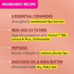 Dot & Key Ceramide & Peptide Barrier Repair Lip Balm SPF 50, PA+++ | Warm Nude | UVA/UVB Lip Protection | Soft Tinted Lip Moisturizer | Boosts Collagen & Instantly Plumps Lip | Prevents Pigmentation| Lip Balm for Women | 10gm - Image 4