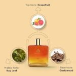 The Man Company Men Joy Edp | Premium Long - Lasting Fragrance Wood Scent Spray For Him | Eau De Parfum) | Gift For Husband, Boyfriend | Perfume - 100Ml - Image 3