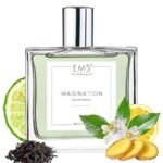 EM5™ Imagination Perfume for Men & Women | Citrus Amber Fresh Spicy Fragrance | 50 ml Eau de Parfum Spray | Luxury Gift for Him and Her