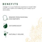 Roshi Green Tea Kahwa |25 Teabags | Detoxifying Green Tea with Ginger, Lemon, Black Pepper and Clove |Perfect Grandma's Kadha - Image 5