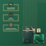Wild Stone Chief Perfume for Men, 100ml | Luxury Eau De Parfum | Long-Lasting Fragrance | Best Gift for Him l Premium Perfume for Men l Infused with Aquatic and Woody Notes - Image 4