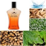 Menjewell MYSORE SANDAL PERFUME EAU DE PARFUM with Aqua,Sandalwood and Wood|Premium,Long Lasting Woody Fragrance For Men and Women,100ml - Image 2