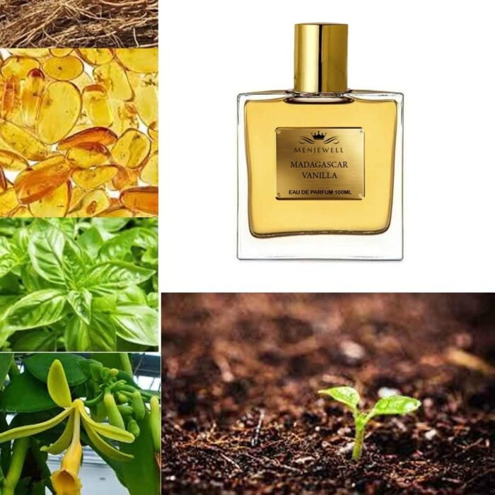 Menjewell Madagascar Vanilla Eau De Perfume for Mens | Long-Lasting Fragrance Scent | Unisex Aromatic Spray Ideal for Daily Use, Date Night, Gifting Purpose, and Special Occasions, (100 ml) - Image 2