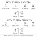 Octavius  6 Assorted Tea Flavors in Black & Green Teas in Tin Box 25 Tea Bags - Image 5