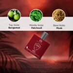 The Man Company EDP For Men 100ml – Polo Red | Premium Perfume | Long-lasting Fragrance | Perfect For Men | Citrusy, Earthy and Woody | Made With Essential Oils - Image 3