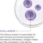 "L'Oreal Paris Day And Night Moisturizer Cream, Collagen Moisture Filler Skincare, Hydrating Cream For Face, Neck And Chest To Smooth Skin And Reduce Look Of Wrinkles, 50 Ml " - Image 3