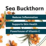 Organic Sea Buckthorn Berry Powder (200 Gram) - 100% Pure Sea Buckthorn Powder - Source of Various Vitamins & Minerals - Image 3