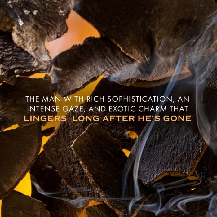 FIEN 007 Perfume for Men | Oriental Oud Scent | 12 Hrs Long Lasting | mCaffeine Perfume | Fien Eau De Parfum with Oud, Sandal & Musk | perfume for men | Solid mCaffeine Premium & Luxurious Perfume - 100ml - Image 4