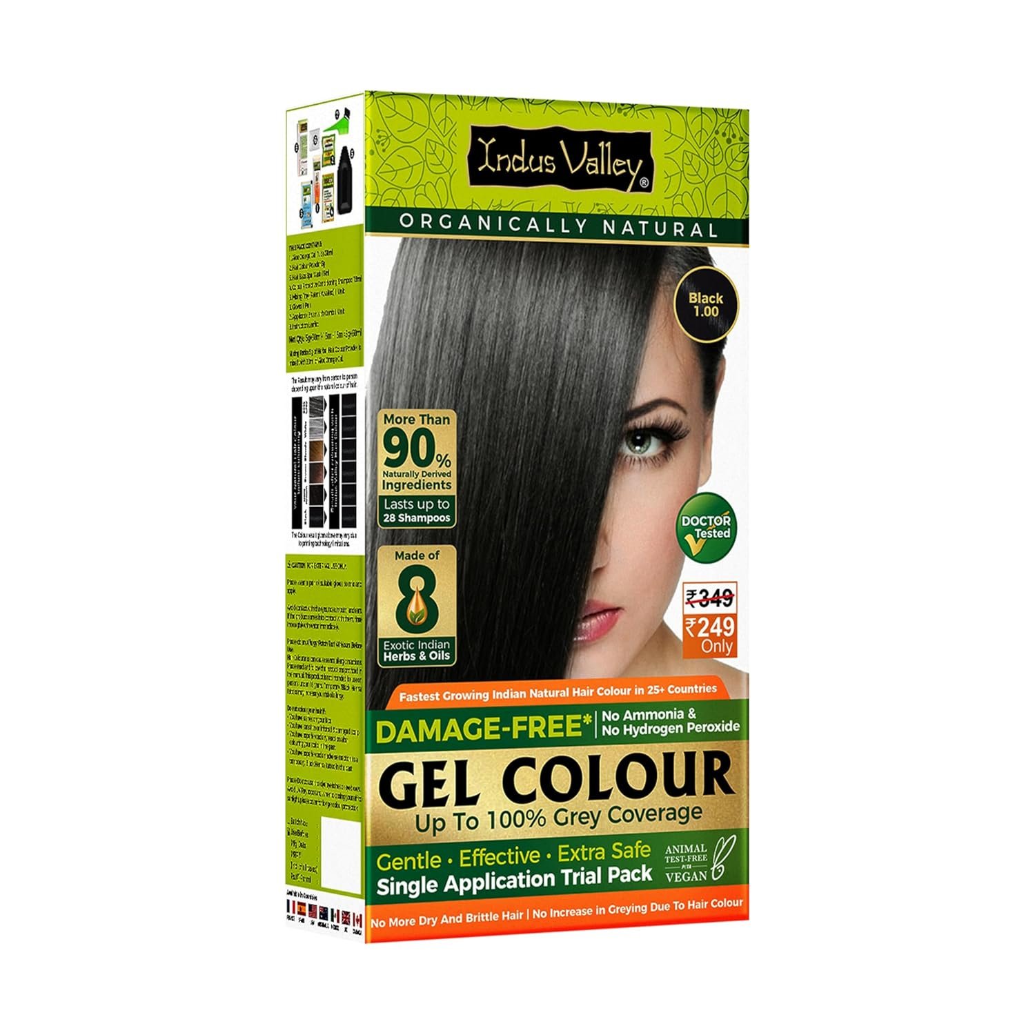 INDUS VALLEY Damage Free Natural Gel Hair Colour 65ml black 1 INDUS VALLEY Damage Free Natural Gel Hair Colour for Women | Ammonia & PPD Free Organic Hair Colour with 100% Grey Coverage, Long Lasting Hair Color Trial Pack 65 ml - Image 1