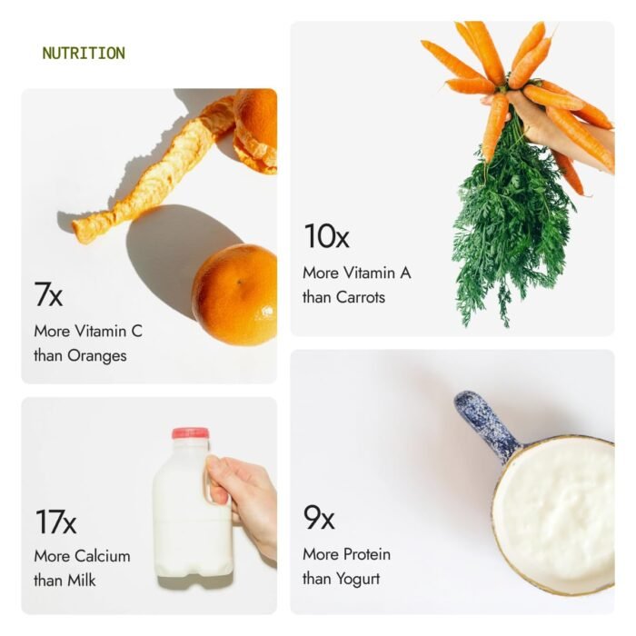 Kapiva Certified Organic Moringa Powder 200g | From Pure Drumstick Leaves | Gives Natural Energy & Nutrients - Image 2