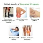 Kerala Ayurveda Ksheerabala 101 Avarti Capsule | For Healthy Joints| Natural Joint Pain Relief Capsules | For Age-Related Joint Issues | Joint Stiffness and Swelling | For Joint Strength, Mobility, and Flexibility | With Bala, Cow Milk in Sesame Oil | 100 capsules - Image 3