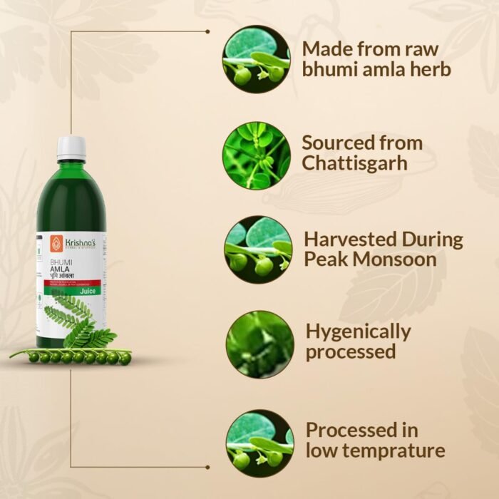 Krishna's Bhumi Amla Juice - 500 ml Natural liver detoxifier | Strengthens the digestive system | Sugar free Juice with No Added Color or Flavour - Image 5