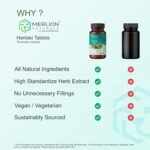 Merlion Naturals Haritaki Tablets, Terminalia chebula, 500mg (120 Tablets) - Image 9