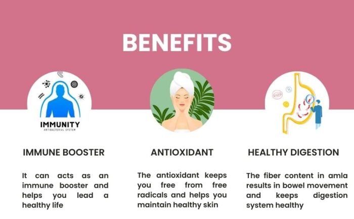 Genius Herbs Noni Fruit Tablets 700 mg - Best Immune Booster - Full of Antioxidants - Pure Noni Fruit Capsule - Image 7