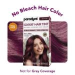 Paradyes Mini Berry Plum Glossy Hair Tint | No Bleach, Ammonia-Free | Trial Pack Perfect for Testing or Small Sections | Visible on Black Hair - Image 2