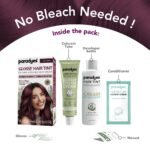 Paradyes Mini Berry Plum Glossy Hair Tint | No Bleach, Ammonia-Free | Trial Pack Perfect for Testing or Small Sections | Visible on Black Hair - Image 4
