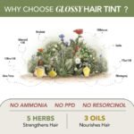 Paradyes Mini Berry Plum Glossy Hair Tint | No Bleach, Ammonia-Free | Trial Pack Perfect for Testing or Small Sections | Visible on Black Hair - Image 9