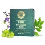 Shesha Ayurveda Black Nilini Hair Colour With Aloevera Gel, Ayurvedic,No PEROXIDE,No PERBORATE,No AMMONIA - (Black, 40G).