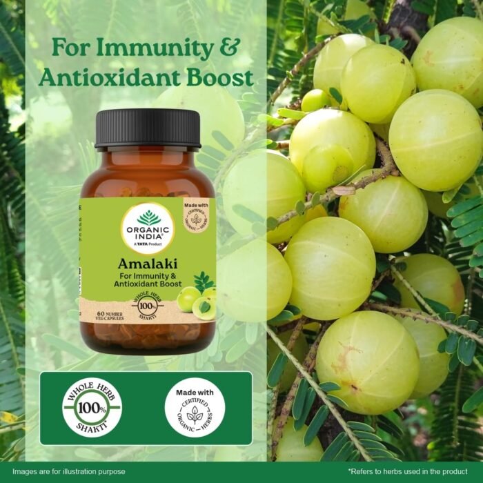A TATA Product - Organic India Amalaki - 60 Veg Capsules, Natural Vitamin C & Antioxidants, Boosts Immune Response, Detoxify & Rejuvenate Digestive System, Reduce Acidity, GMP & NPOP Certified Organic - Image 3