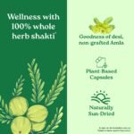 A TATA Product - Organic India Amalaki - 60 Veg Capsules, Natural Vitamin C & Antioxidants, Boosts Immune Response, Detoxify & Rejuvenate Digestive System, Reduce Acidity, GMP & NPOP Certified Organic - Image 5