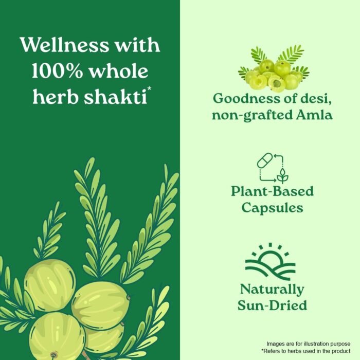 A TATA Product - Organic India Amalaki - 60 Veg Capsules, Natural Vitamin C & Antioxidants, Boosts Immune Response, Detoxify & Rejuvenate Digestive System, Reduce Acidity, GMP & NPOP Certified Organic - Image 5