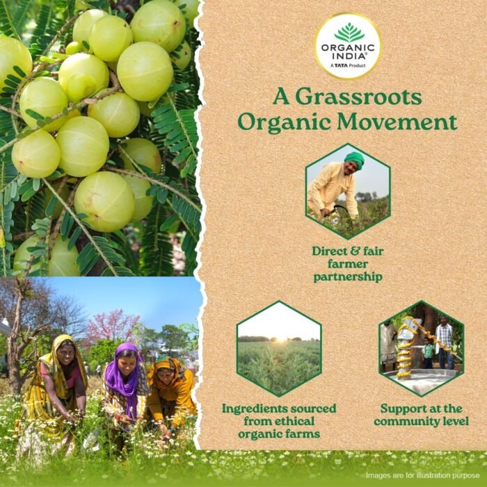 A TATA Product - Organic India Amalaki - 60 Veg Capsules, Natural Vitamin C & Antioxidants, Boosts Immune Response, Detoxify & Rejuvenate Digestive System, Reduce Acidity, GMP & NPOP Certified Organic - Image 9