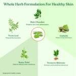 A TATA Product - Organic India Beautiful Skin Capsules - 60 Veg Caps, For Healthy, Radiant & Glow, Helps Rejuvenate Skin & Naturally Purify The Blood, GMP & NPOP Certified Organic - Image 6