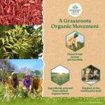 A TATA Product - Organic India Beautiful Skin Capsules - 60 Veg Caps, For Healthy, Radiant & Glow, Helps Rejuvenate Skin & Naturally Purify The Blood, GMP & NPOP Certified Organic - Image 8