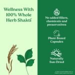 A TATA Product - Organic India Bowelcare - 60 Veg Capsules, Helps Relieve Constipation, Hyperacidity & IBS, Clean & Lubricate Bowel, Normalizes Digestion & Elimination, GMP & NPOP Certified Organic - Image 5