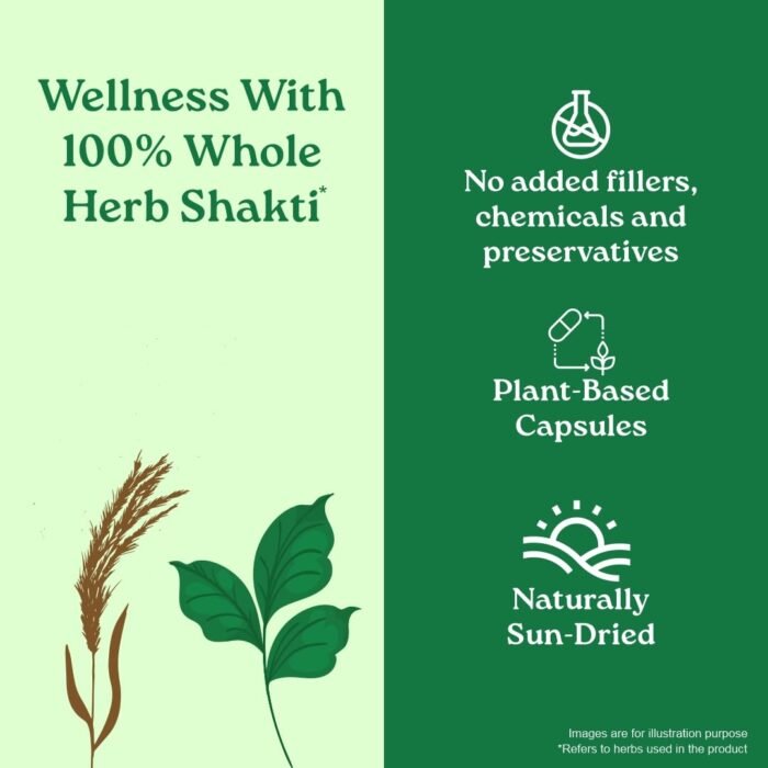 A TATA Product - Organic India Bowelcare - 60 Veg Capsules, Helps Relieve Constipation, Hyperacidity & IBS, Clean & Lubricate Bowel, Normalizes Digestion & Elimination, GMP & NPOP Certified Organic - Image 5