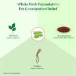 A TATA Product - Organic India Bowelcare - 60 Veg Capsules, Helps Relieve Constipation, Hyperacidity & IBS, Clean & Lubricate Bowel, Normalizes Digestion & Elimination, GMP & NPOP Certified Organic - Image 6