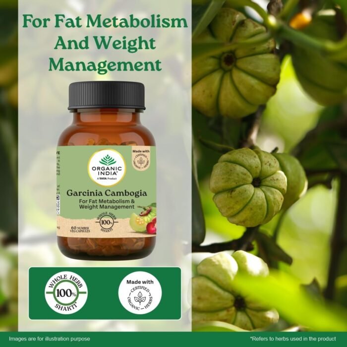A TATA Product - Organic India Garcinia Cambogia - 60 Veg Capsules, Improves Fat Metabolism, Lean Muscle Development, Boosts Energy, Enhances Immunity, & Helps Weight Management, GMP & NPOP Certified - Image 3