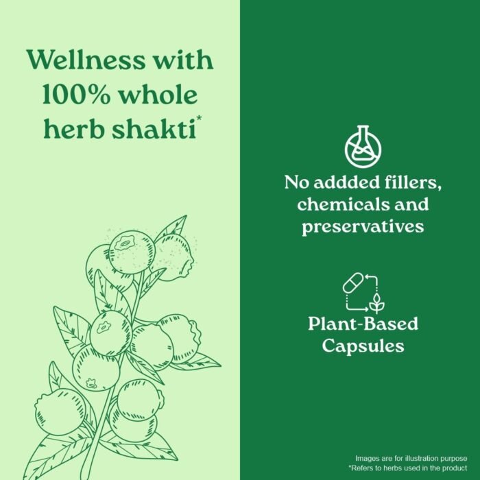 A TATA Product - Organic India Garcinia Cambogia - 60 Veg Capsules, Improves Fat Metabolism, Lean Muscle Development, Boosts Energy, Enhances Immunity, & Helps Weight Management, GMP & NPOP Certified - Image 5