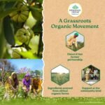 A TATA Product - Organic India Garcinia Cambogia - 60 Veg Capsules, Improves Fat Metabolism, Lean Muscle Development, Boosts Energy, Enhances Immunity, & Helps Weight Management, GMP & NPOP Certified - Image 7