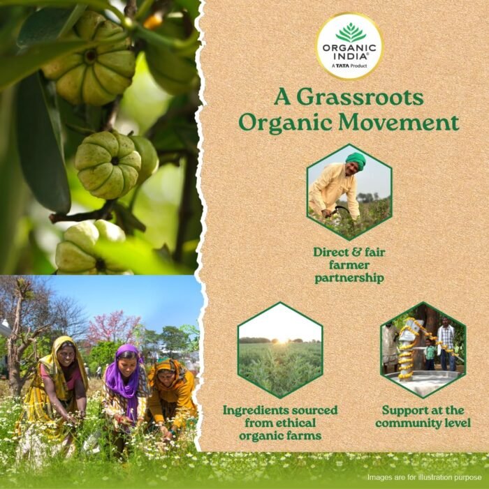 A TATA Product - Organic India Garcinia Cambogia - 60 Veg Capsules, Improves Fat Metabolism, Lean Muscle Development, Boosts Energy, Enhances Immunity, & Helps Weight Management, GMP & NPOP Certified - Image 7