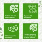 A TATA Product - Organic India Liver Kidney Care - 180 Veg Capsules, Helps Support Liver & Kidney Health, Boosts Overall Energy & Immunity, GMP & NPOP Certified Organic - Image 6