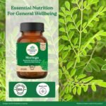 A TATA Product - Organic India Moringa Capsules - 60 Veg Caps, Essential Nutrition Superfood, Helps Naturally Boost Energy Level, Improves Stamina, Rich In Vitamins & Minerals, GMP & NPOP Certified Organic - Image 3