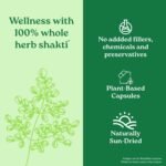 A TATA Product - Organic India Moringa Capsules - 60 Veg Caps, Essential Nutrition Superfood, Helps Naturally Boost Energy Level, Improves Stamina, Rich In Vitamins & Minerals, GMP & NPOP Certified Organic - Image 5