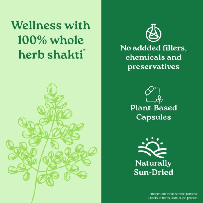 A TATA Product - Organic India Moringa Capsules - 60 Veg Caps, Essential Nutrition Superfood, Helps Naturally Boost Energy Level, Improves Stamina, Rich In Vitamins & Minerals, GMP & NPOP Certified Organic - Image 5