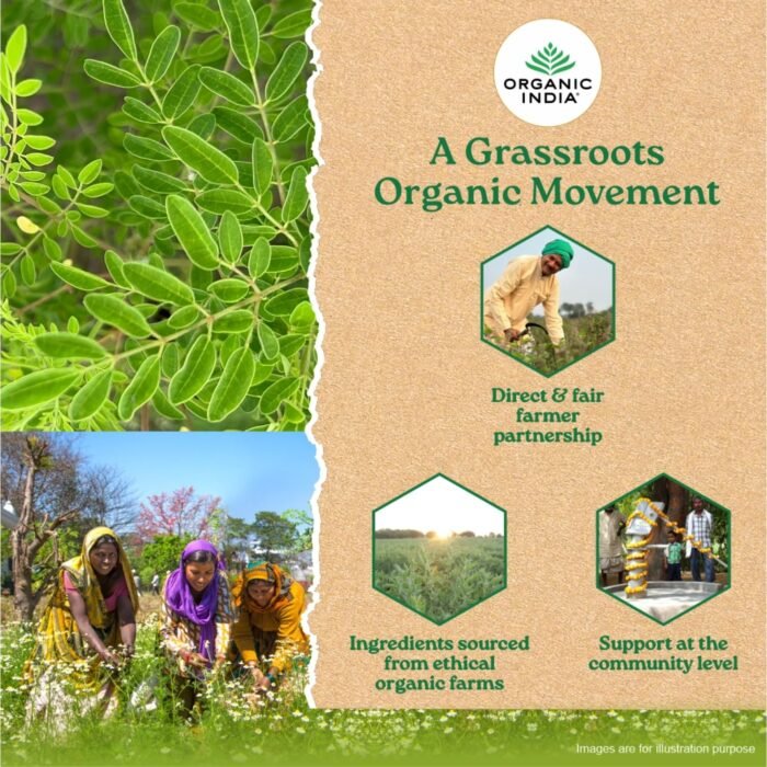 A TATA Product - Organic India Moringa Capsules - 60 Veg Caps, Essential Nutrition Superfood, Helps Naturally Boost Energy Level, Improves Stamina, Rich In Vitamins & Minerals, GMP & NPOP Certified Organic - Image 6